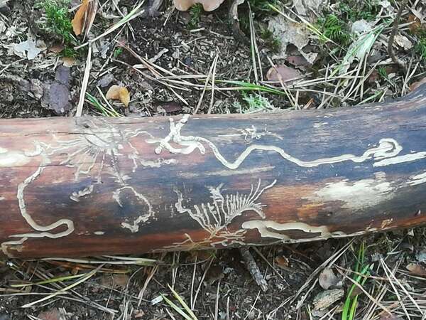 Comment annuler un contrat d'âme