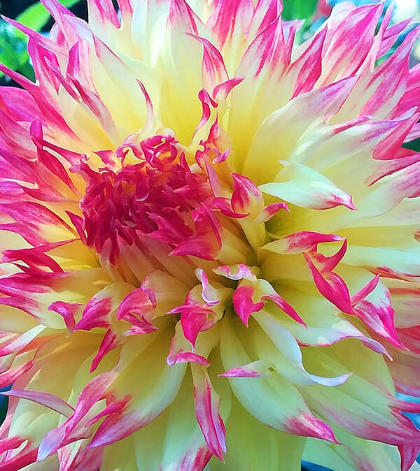 Âme et contrat d'incarnation