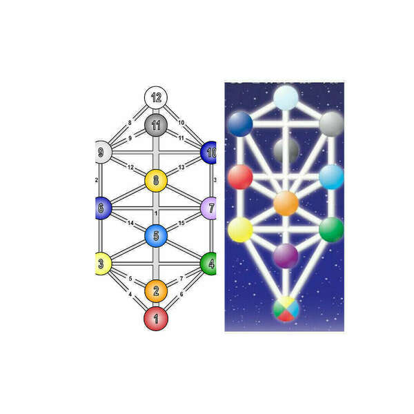 Grille Kathara - arbres sephirot