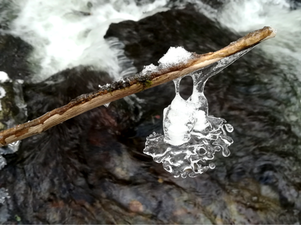 Karma et loi d'attraction