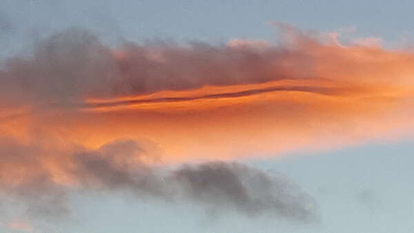 Illusion de séparation : mouvement universel