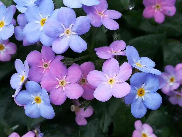 Principe de l'unité : tout est UN