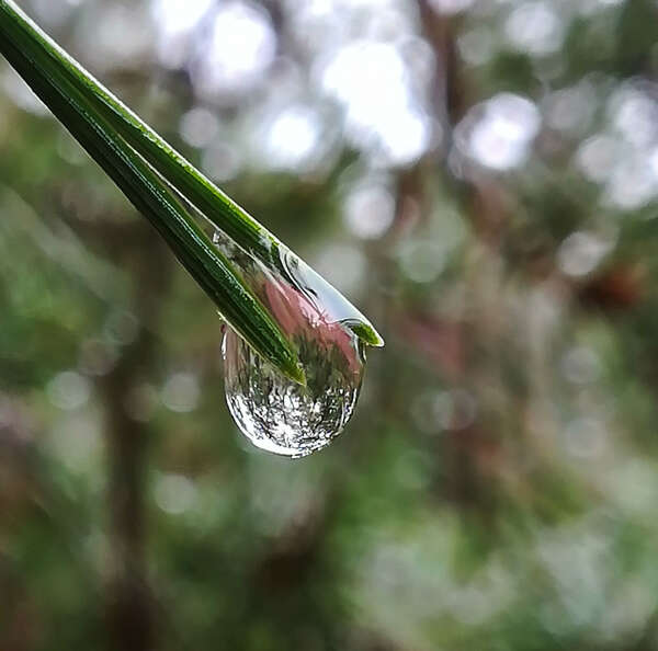 Le mouvement de l'univers