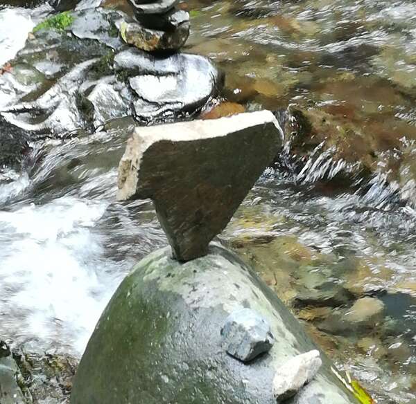 La polarité ou les 2 faces de l'énergie