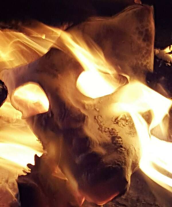 Mémoire cellulaire et victime-bourreau