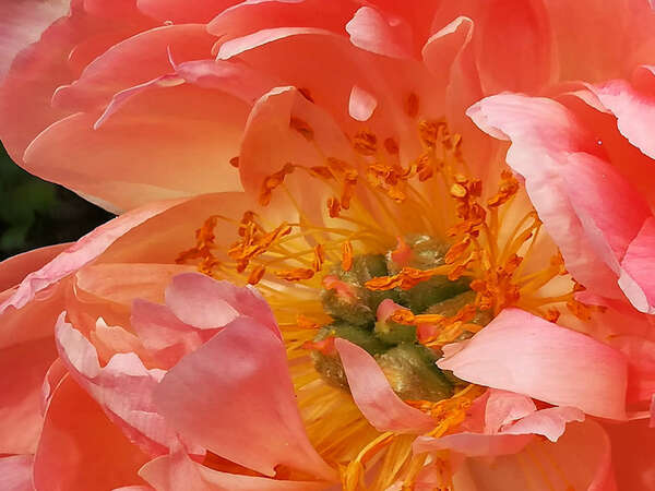 Multidimensionnalité 