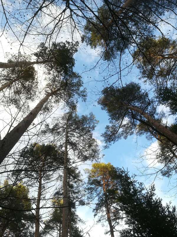 Le temps relié à la matière