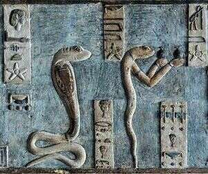 ZETA : races et hybridations