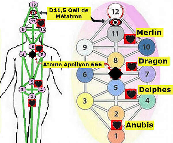 Les implants métatroniques