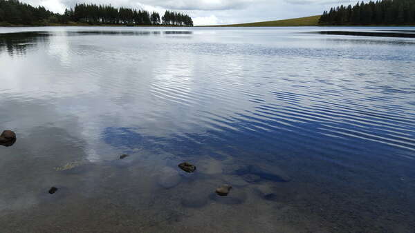 Races Breneau-Gardiens de l'humanité