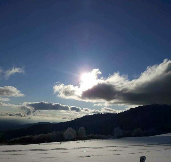 Inversion métatronique