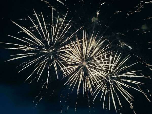 Le gène NOMI : encodage d'ascension