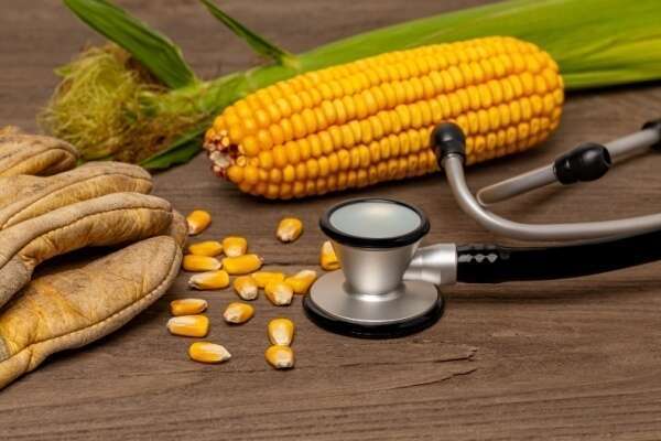 Travailleurs agricoles : bientôt du nouveau en matière de suivi de l’état de santé !