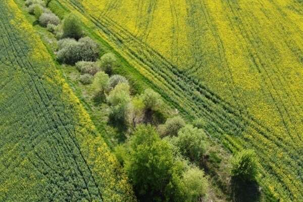 Valeur vénale moyenne des terres labourables et des prairies naturelles en 2024 pour les terres agricoles louées
