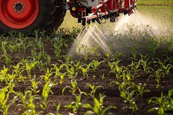 Certiphytos : nouvelle prolongation de la durée de validité