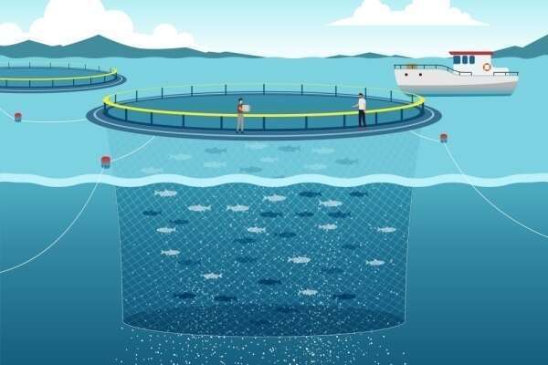 Pisciculture marine et concession d’exploitation : des critères à connaître