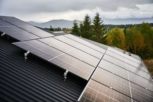 Végétalisation et solarisation des toitures des ICPE : des cas particuliers…