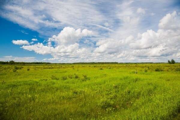 Valeur vénale moyenne des terres labourables et des prairies naturelles en 2024 pour les terres agricoles d'au moins 70 ares, libres à la vente