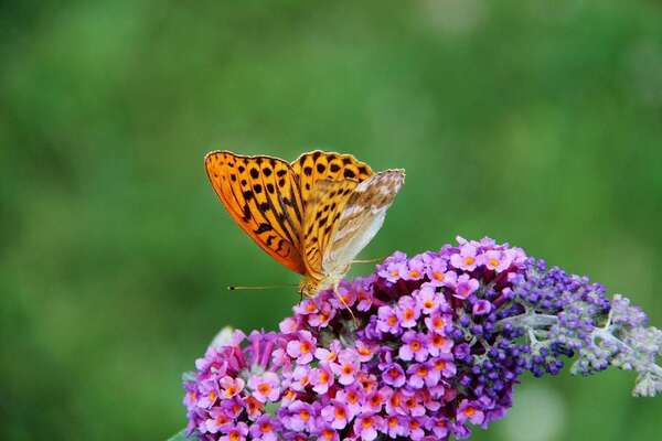 Comment arrêter de fumer grâce à l'hypnose ?
