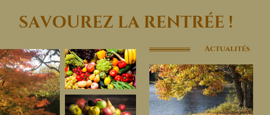 Bien-Être et Vitalité au fil des saisons…