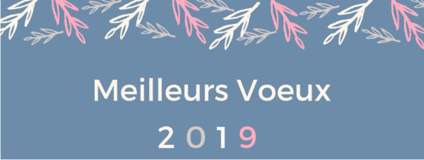 Meilleurs Voeux 2019