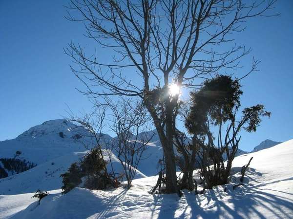 Conseils de naturopathe pour bien préparer l'hiver