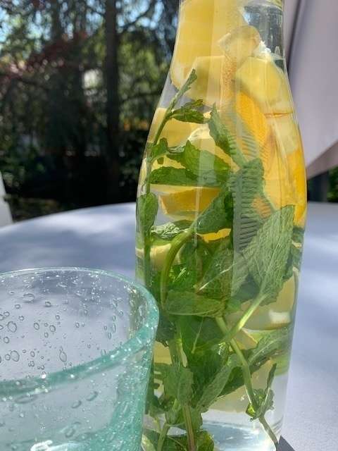 Infusion Fraîcheur Menthe-Citron- Gingembre