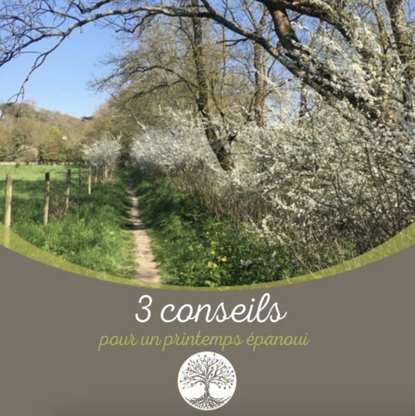 3 Conseils pour un Printemps Vitalisant