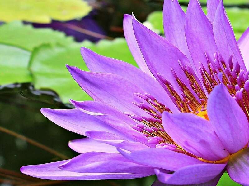 proxy-54dcae9b47fc30dd455f9b362027003f-og20221124-648543-99ko8a