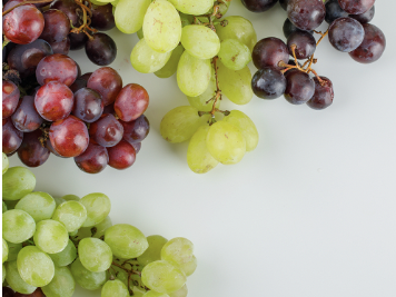 capture_d_ecran_2022-09-29_a_11-02-33