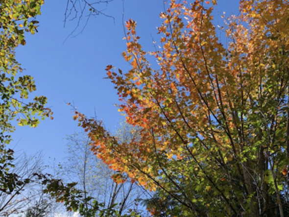 capture_d_ecran_2022-09-29_a_11-10-07