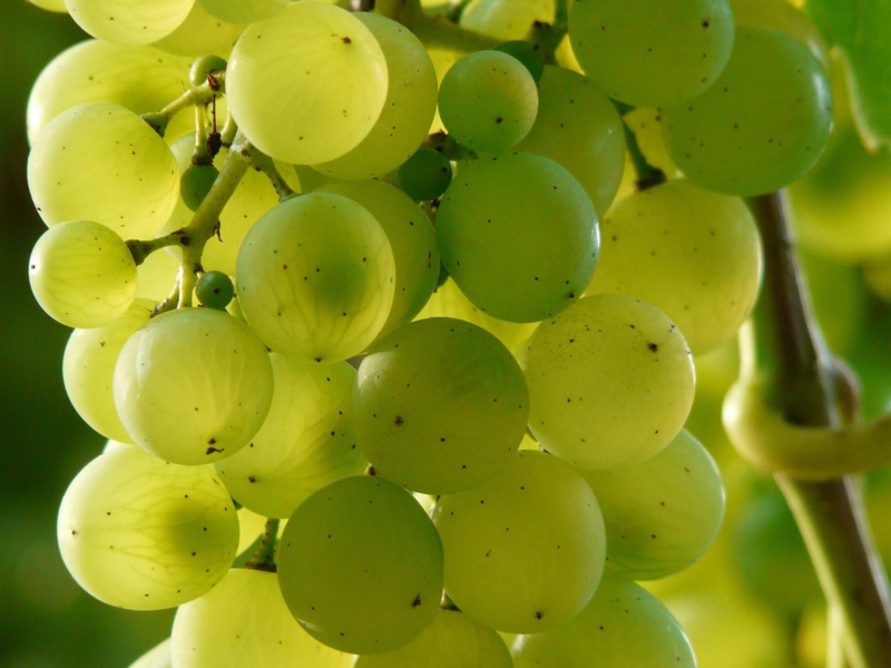 image20190819-2265962-2q7d6s