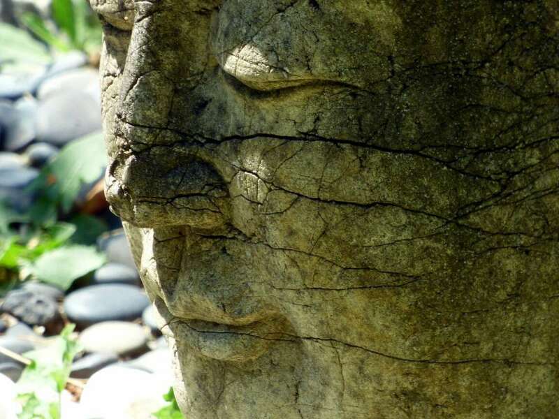 proxy-57c820e012f6e14d71b76aa21d56a0b3-og20221117-2642551-icfp6j