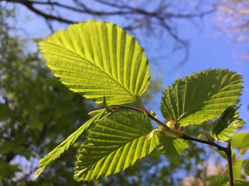 img_207420220727-175978-dds3v1