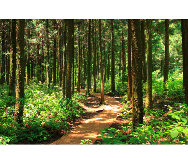 Newsletter n°1 - Mars-Avril 2023