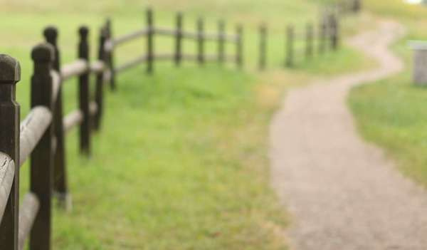 La Psycho-somatothérapie