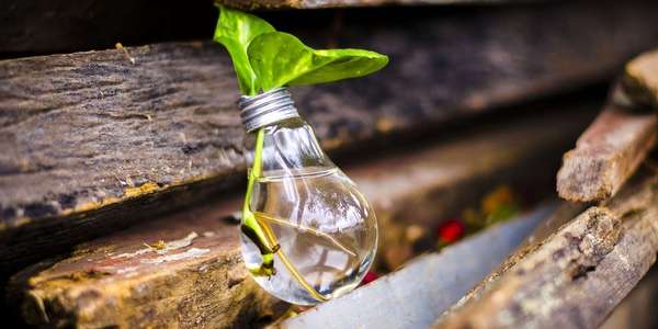 Les grandes idées reçues sur nôtre dos