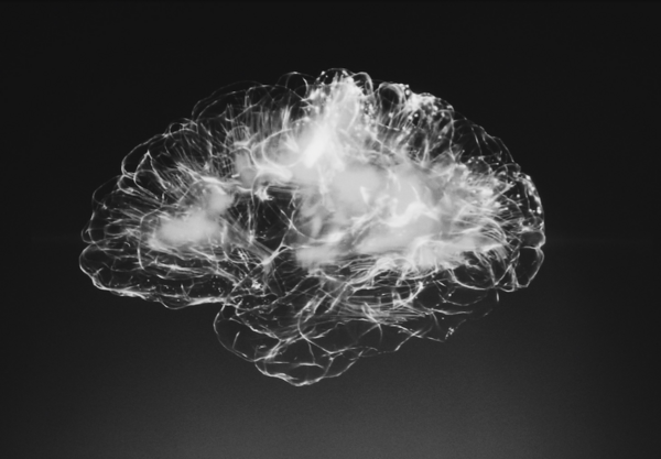 Troubles du neurodéveloppement : intégration des TDAH et des troubles Dys.
