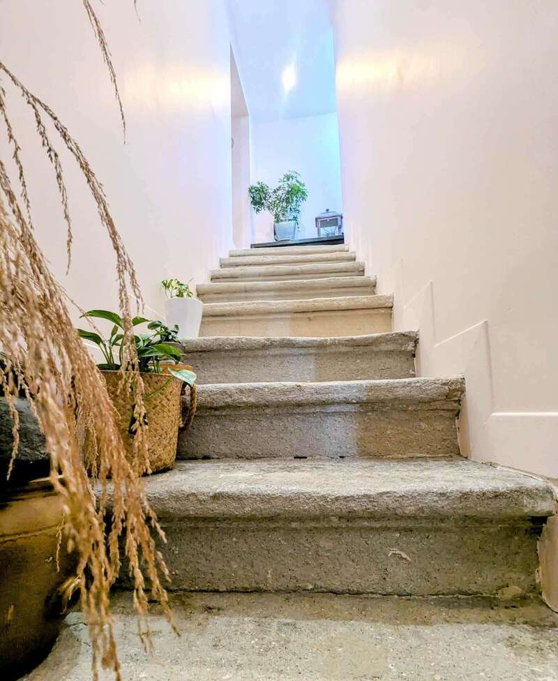 481127668_1845679786256415_6626302550933661072_n