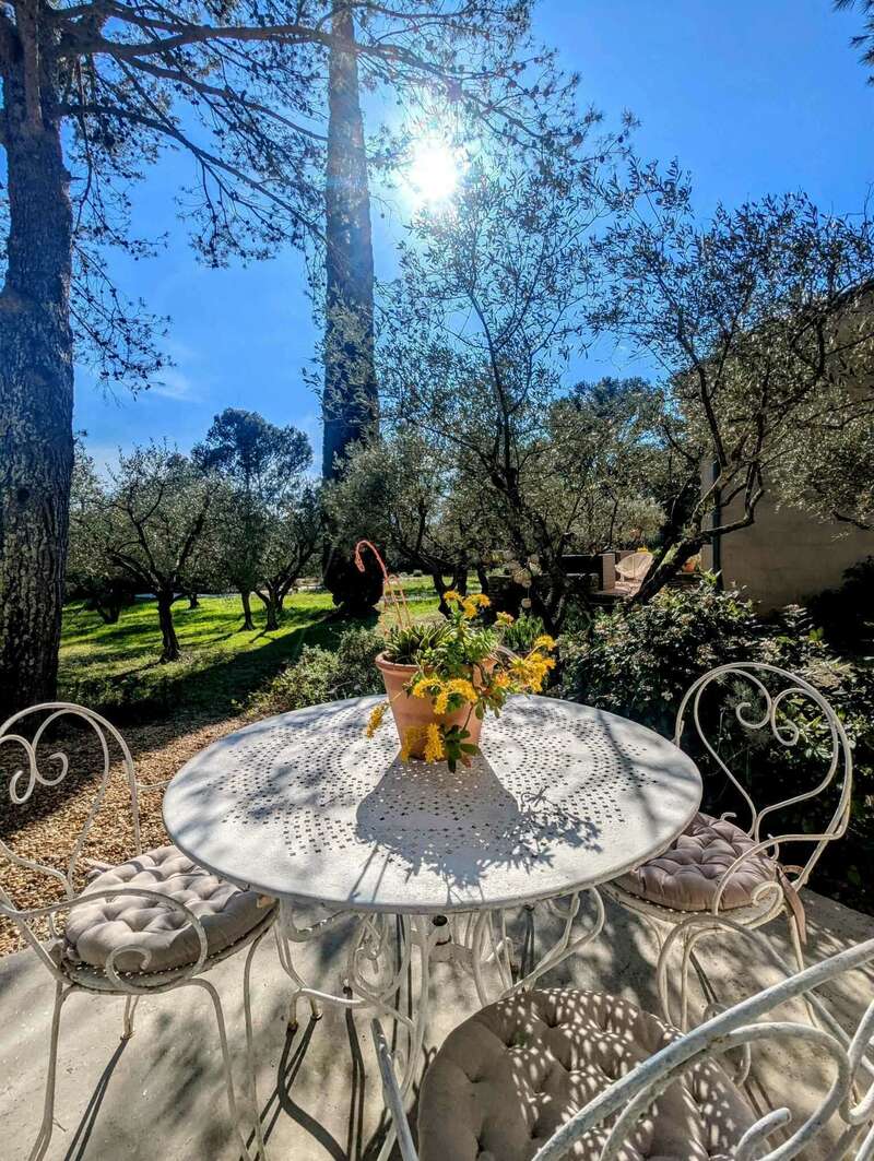 491270785_1824818178107826_8105122215266508315_n