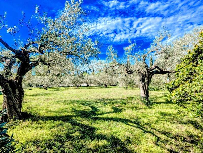 451c5261-e2ff-4cf3-959a-78afa367e237