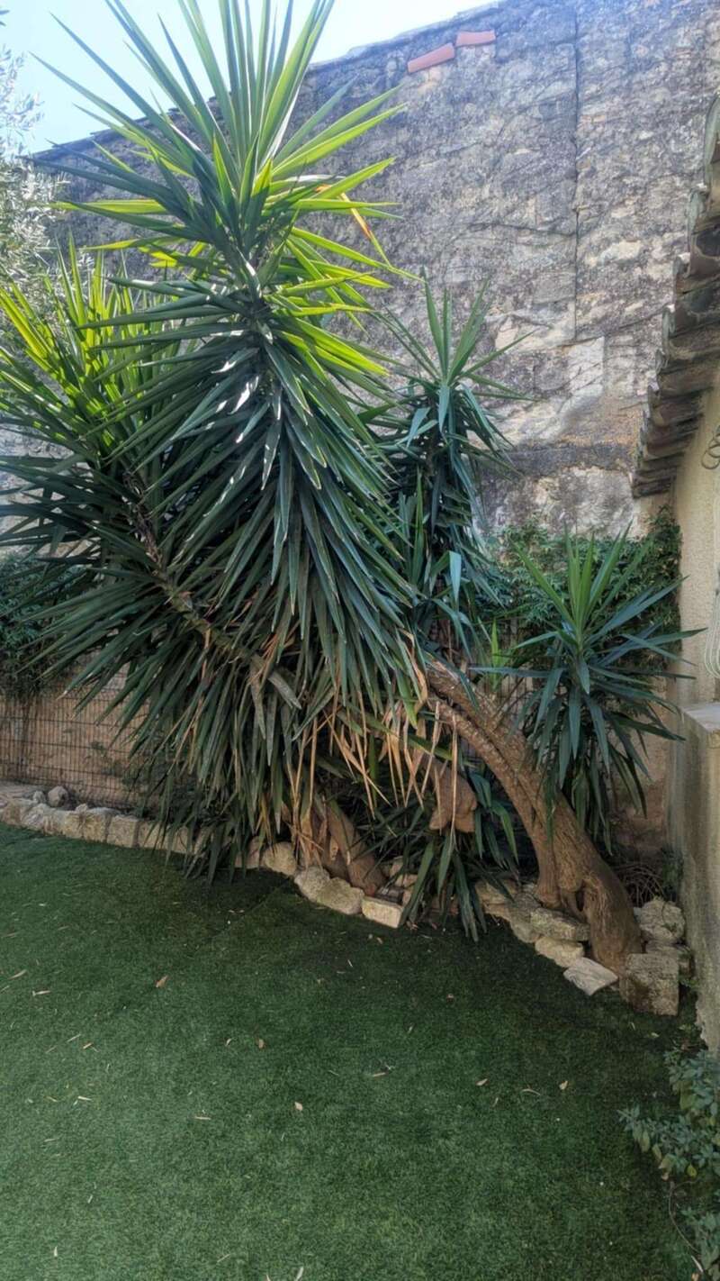 04e5806c-8d6a-49eb-8b5e-e87514536d08