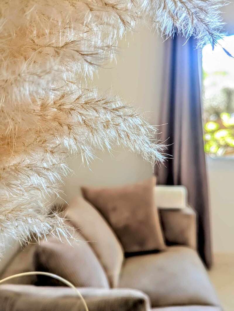 491007407_974865024631286_5308051719197239887_n