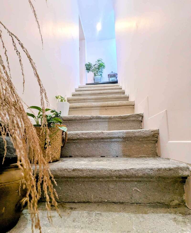 481127668_1845679786256415_6626302550933661072_n