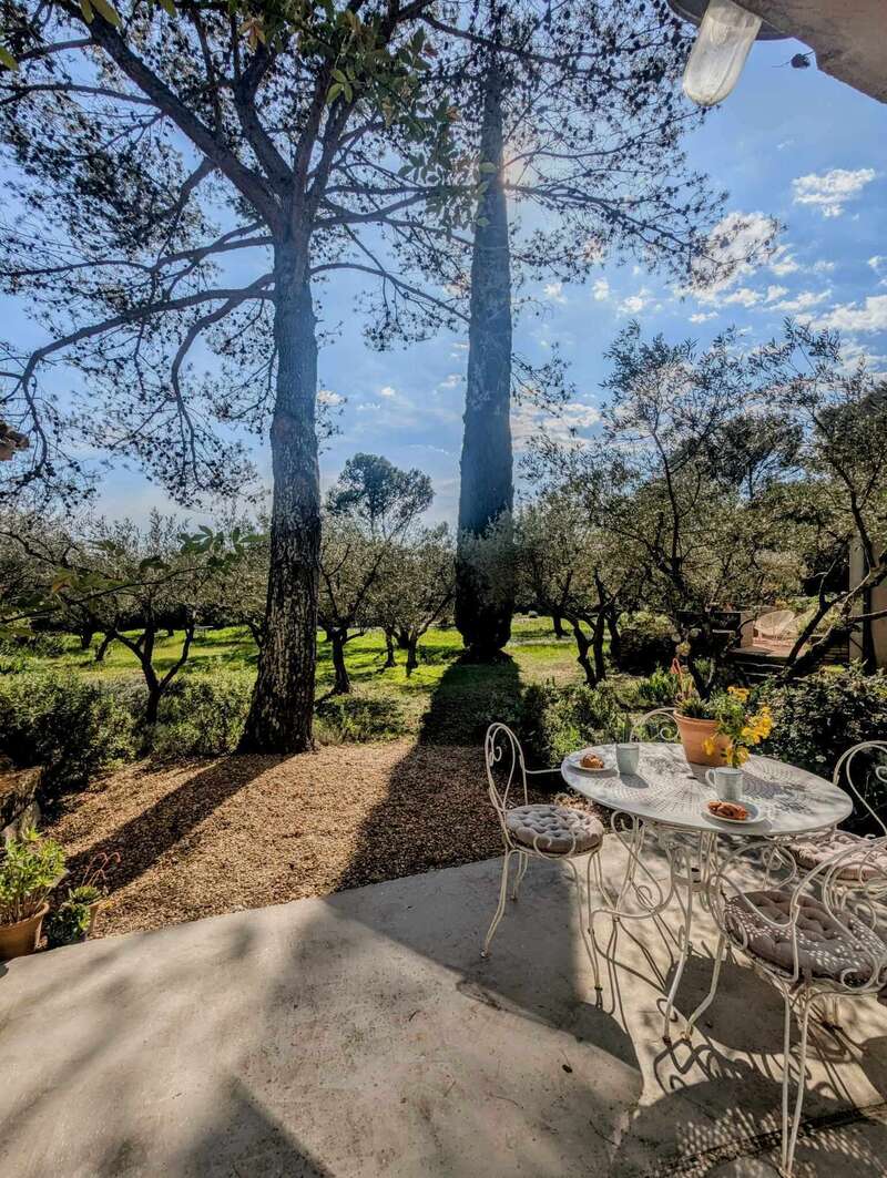 487335419_1318873715830317_7713102404762033295_n