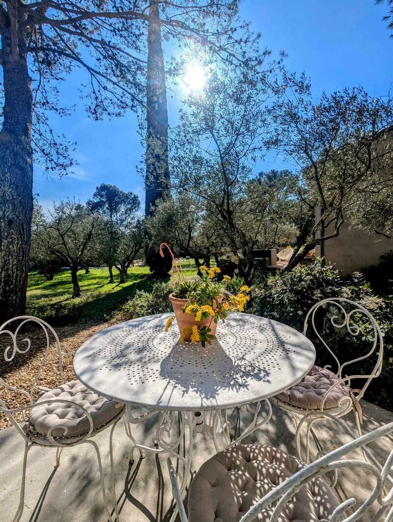 491270785_1824818178107826_8105122215266508315_n