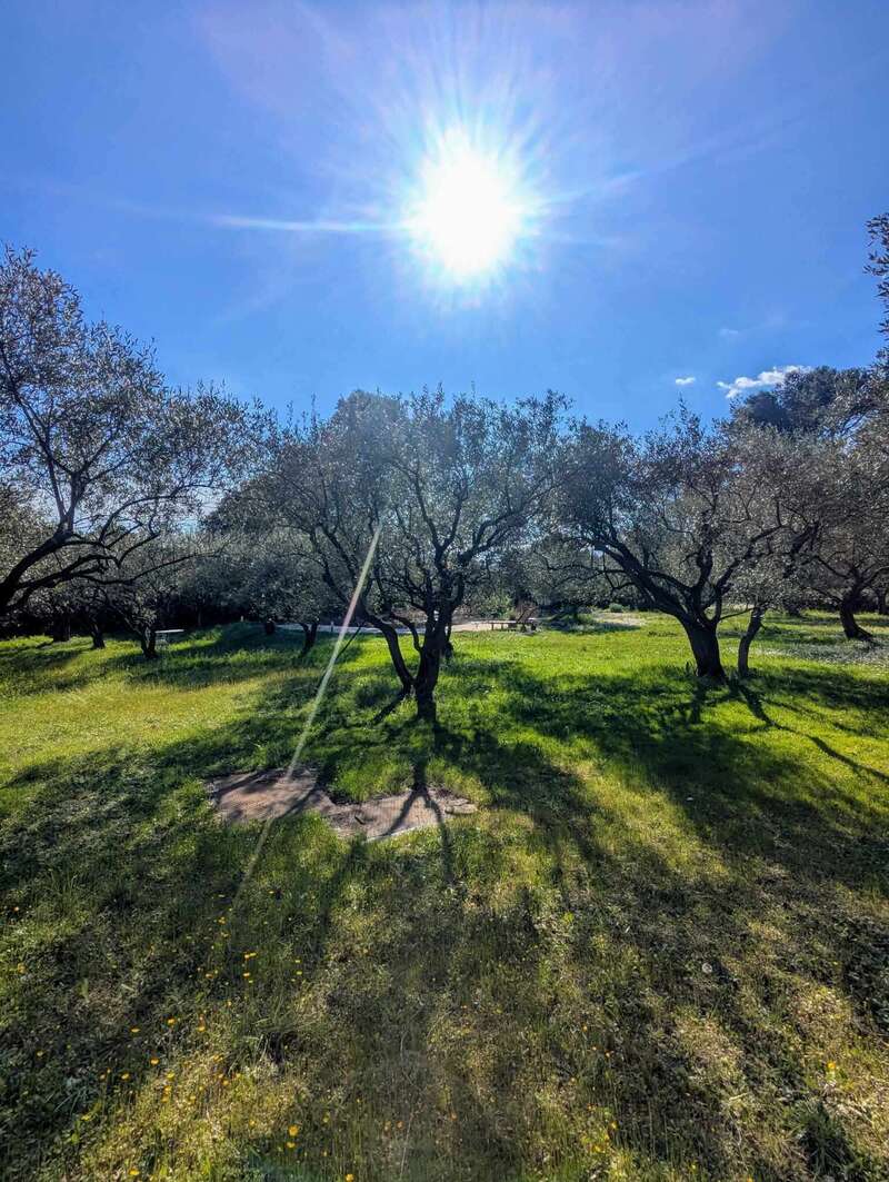 491011155_1225002535810569_314674650803066442_n