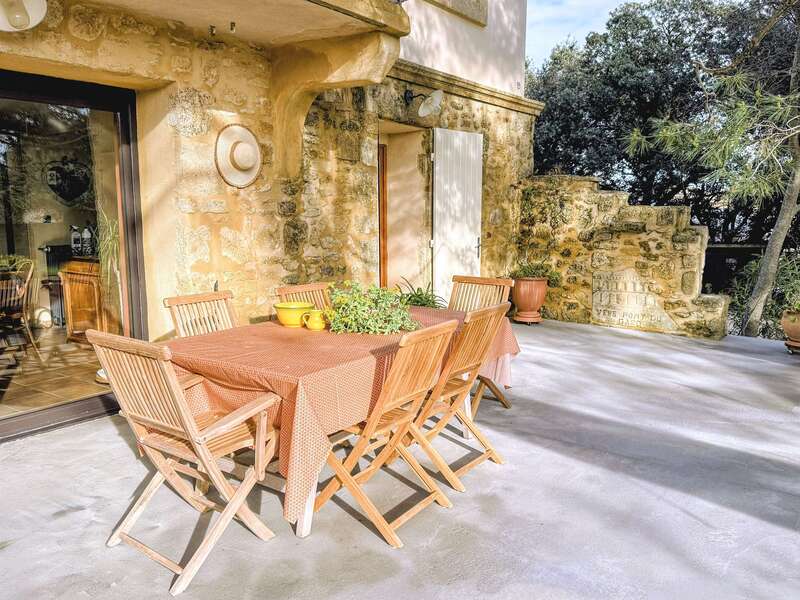 la_maison_du_chat__2_