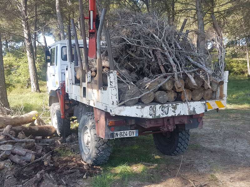 Enlèvement arbres malades Aix-en-Provence
