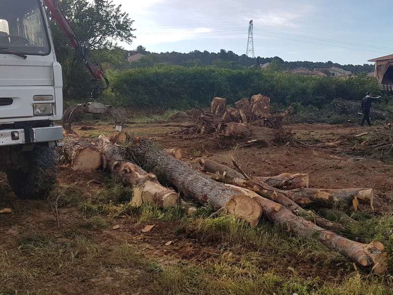 Évacuation de troncs construction de lotissement à Gardanne